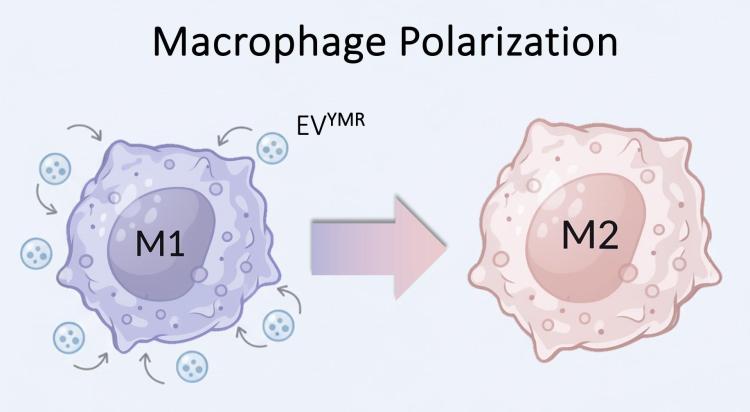 ALL_about_rd_25K27_2wCvrK5itO