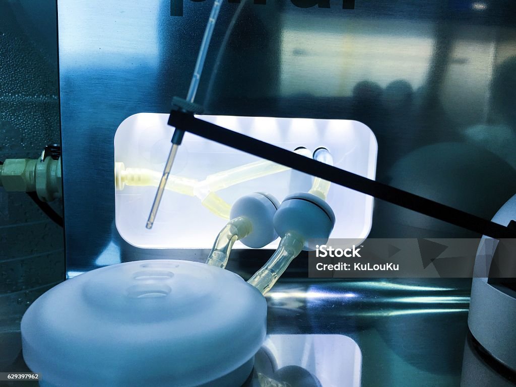 istockphoto-629397962-1024x1024